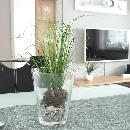 Watten-blick 2 Appartement